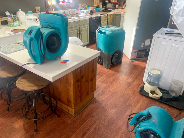 Best Mold removal after water damage  in San Rlos, CA