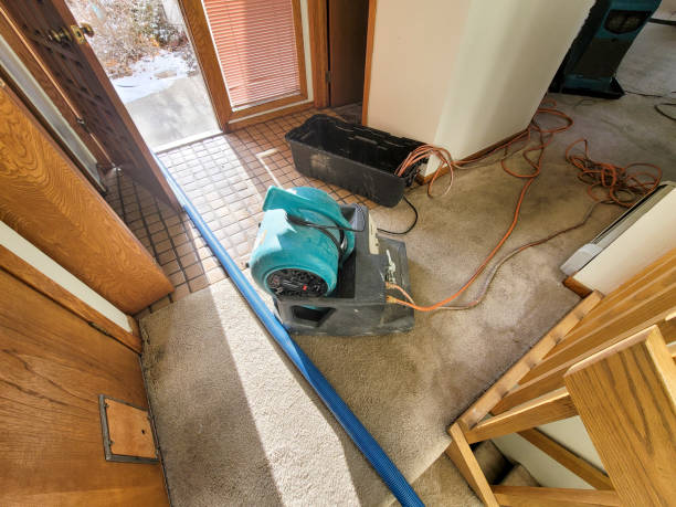 Professional Water damage restoration in San Carlos, CA