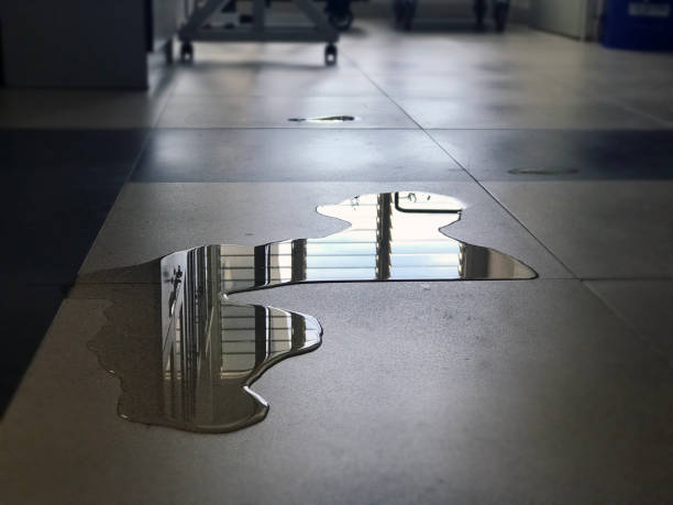 Best Commercial water damage restoration  in San Rlos, CA