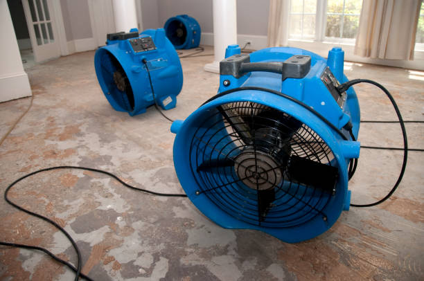 Best Ceiling water damage repair  in San Rlos, CA