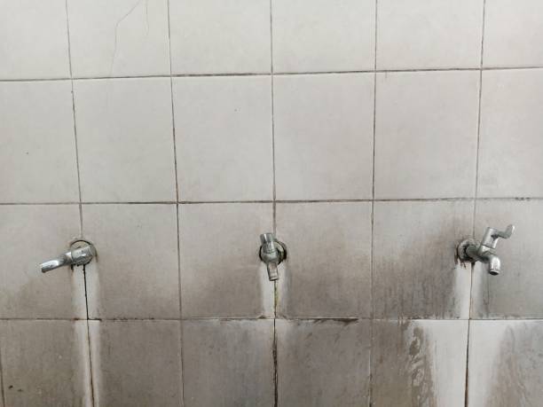 Best Water damage restoration near me  in San Rlos, CA
