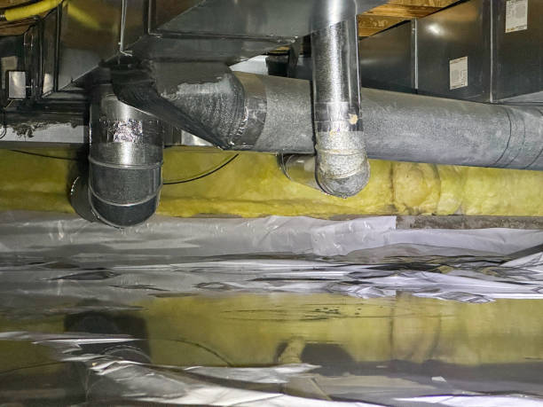 Best Water damage repair service  in San Rlos, CA