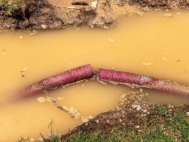Best Professional water damage repair  in San Rlos, CA